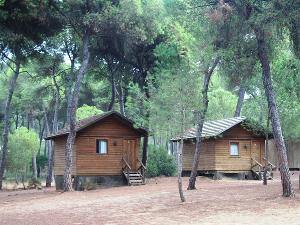 Camping Dehesa Nueva