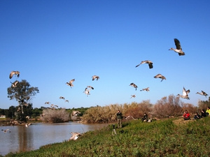 La Cañada de los Pájaros