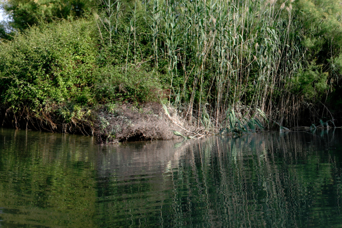 Ruta por el entorno del Río Corbones